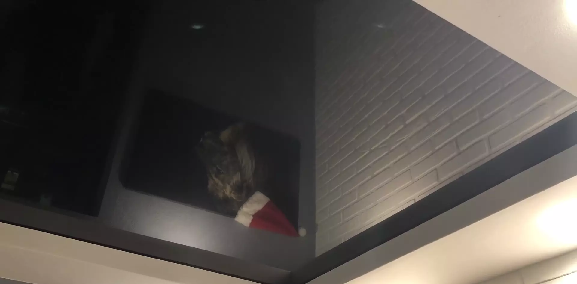 Саранск, Веселовского, 62а к3, фото 3