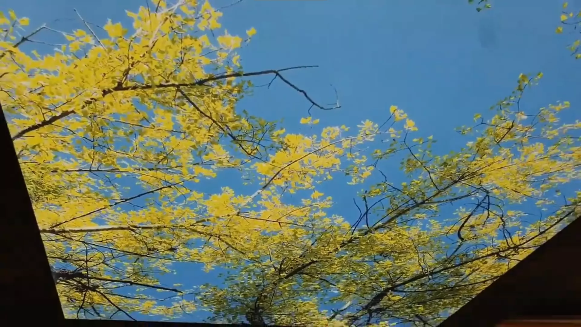 Северодвинск, , фото 2